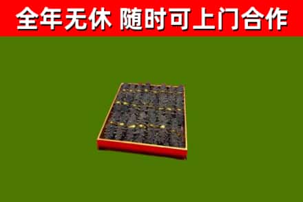洮南回收海参